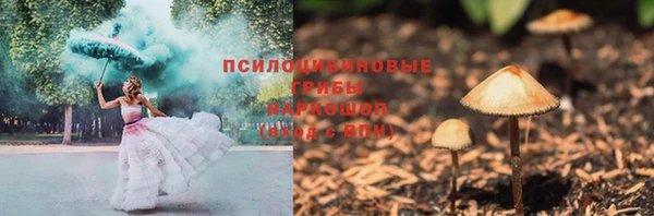 сатива Абаза